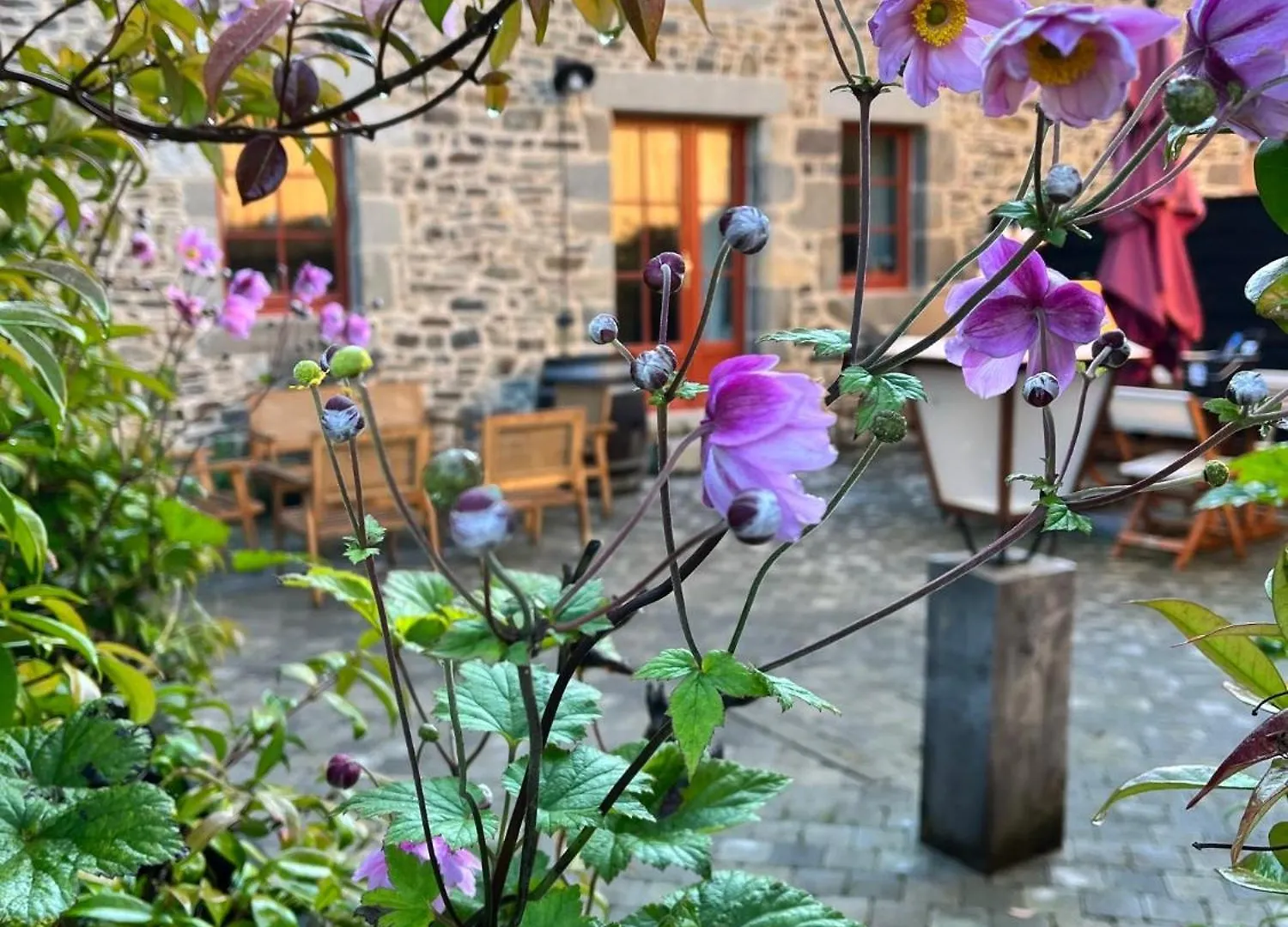 Domaine Du Tertre Ychot Hotel Dol-de-Bretagne